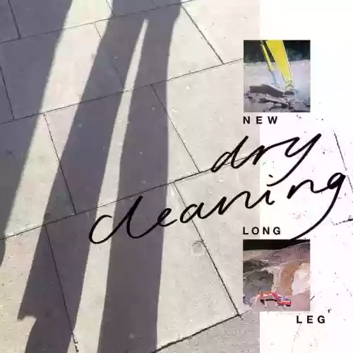 Cover di New Long Leg