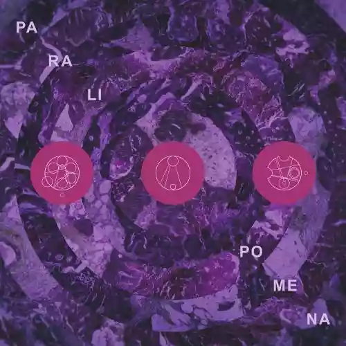 Cover di Paralipomena