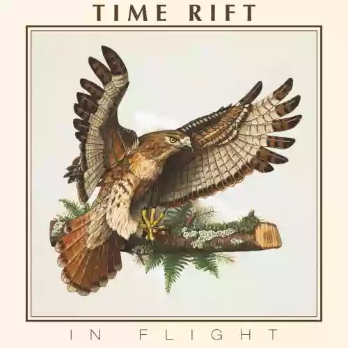 Cover di In Flight