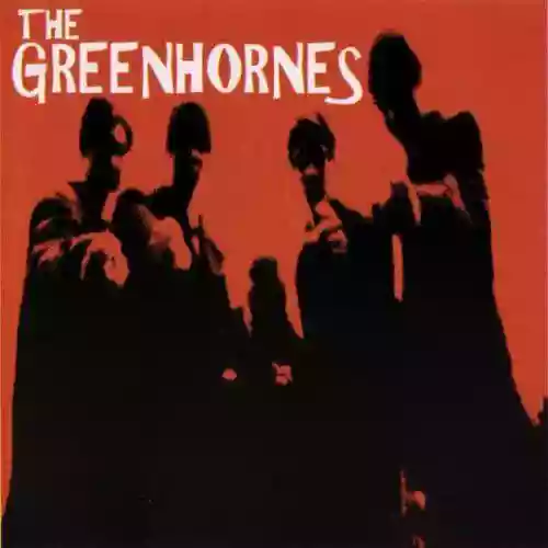 Cover The Greenhornes - Gun for You