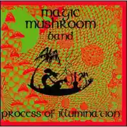 Magic Mushroom Band: Process of Illumination