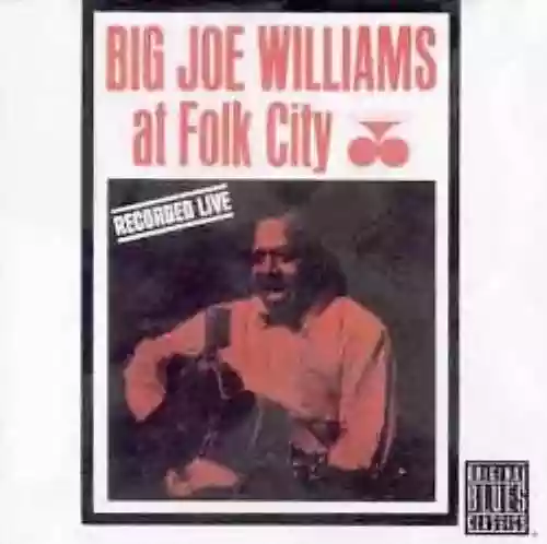 Cover Big Joe Williams - At Folk City