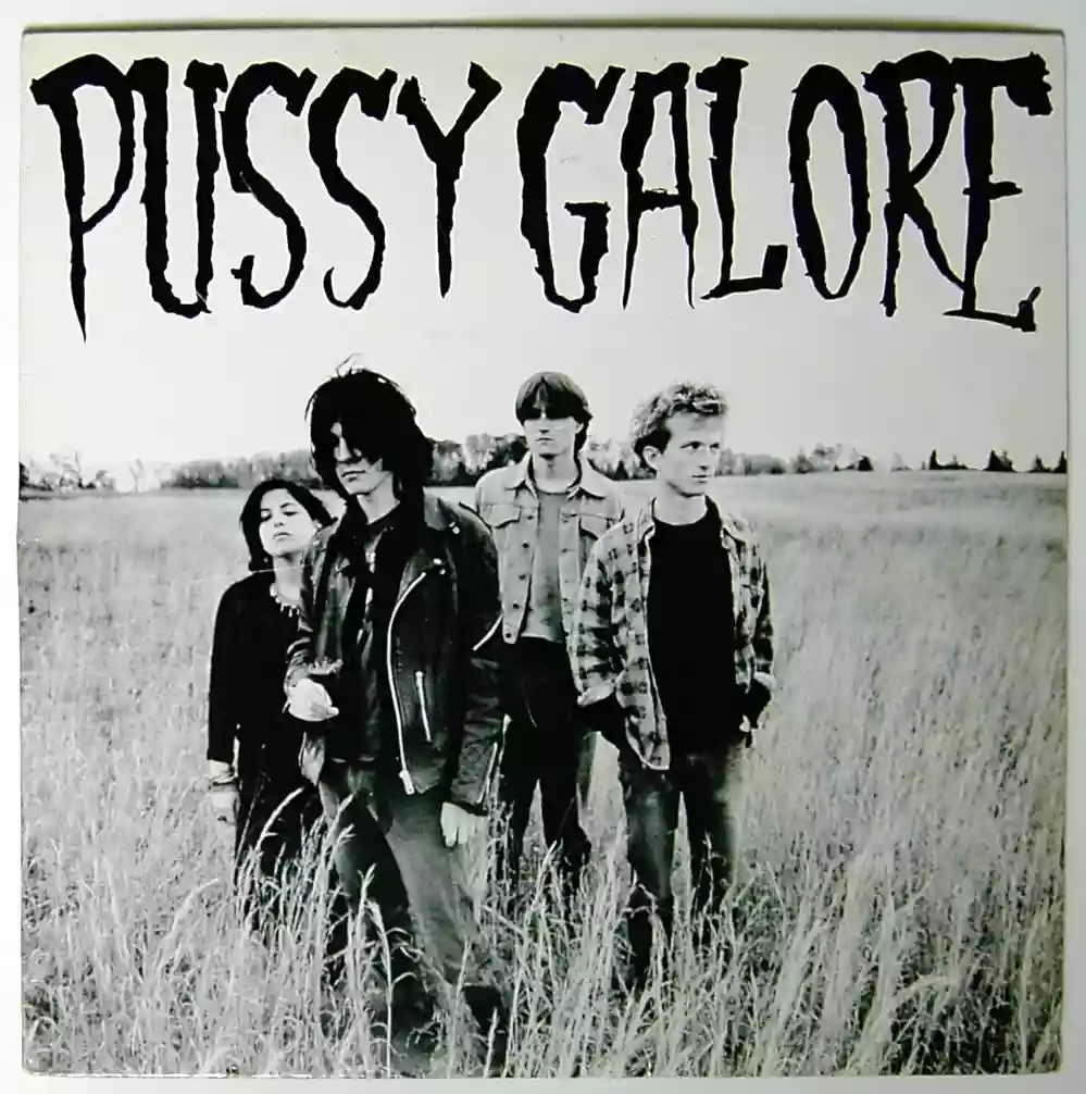 Pussy Galore -Groovy Hate Fuck (Feel Good About Your Body)