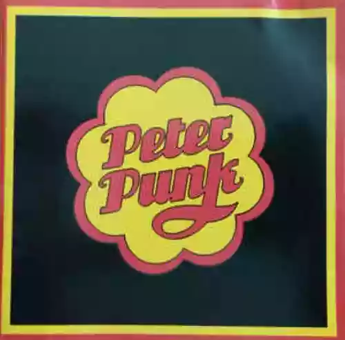 Cover di Peter Punk