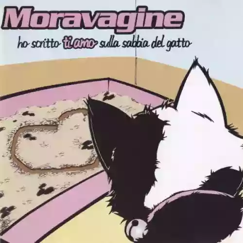 Cover di Ho scritto ti amo sulla sabbia del gatto