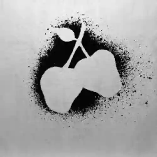 Cover di Silver Apples