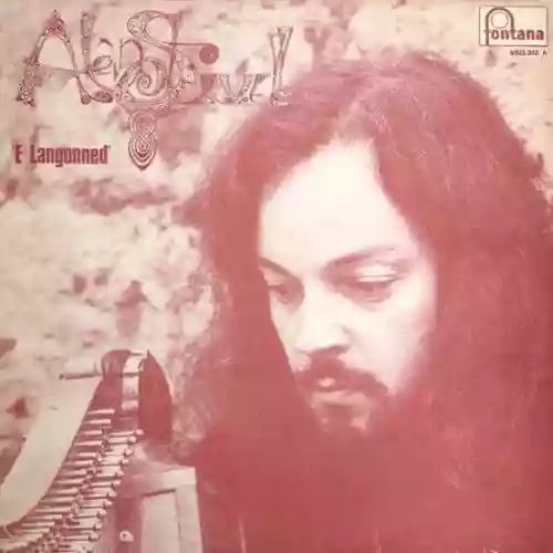 Cover Alan Stivell - E langonned (A Langonnet)