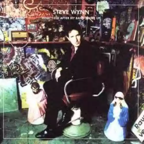 Cover Steve Wynn - What I Did After My Band Broke Up