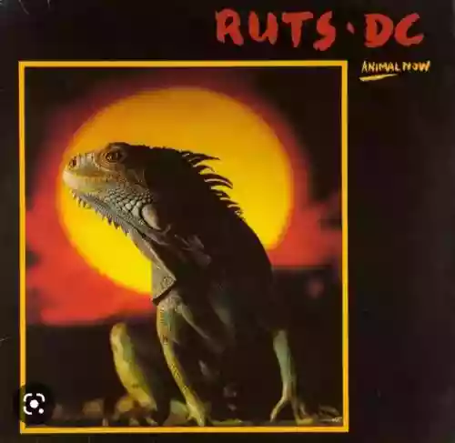 Cover Ruts DC - Animal Now