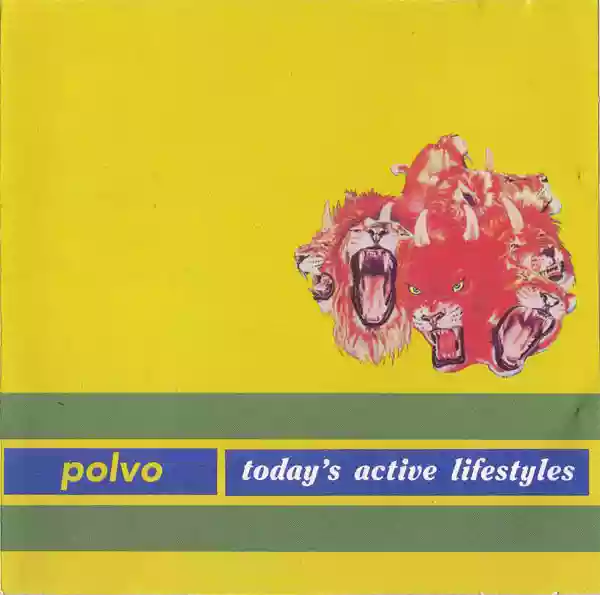 Polvo: Today's Active Lifestyles