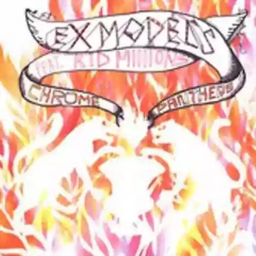 Cover Ex Models - Chrome Panthers