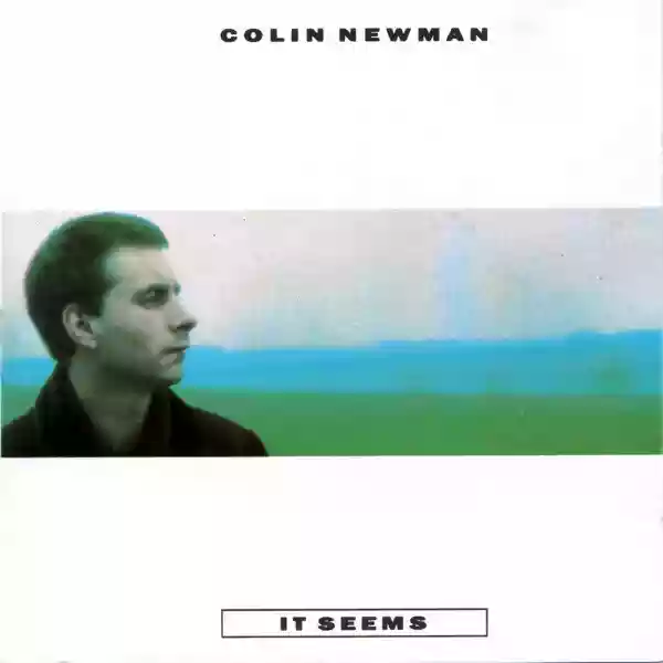 Colin Newman: It Seems