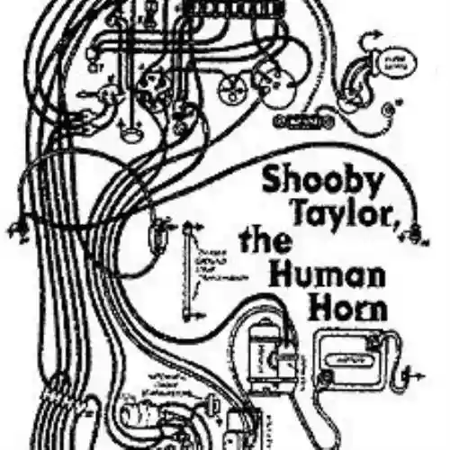 Cover Shooby Taylor - The Human Horn