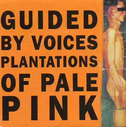 Guided by Voices: Plantations of Pale Pink