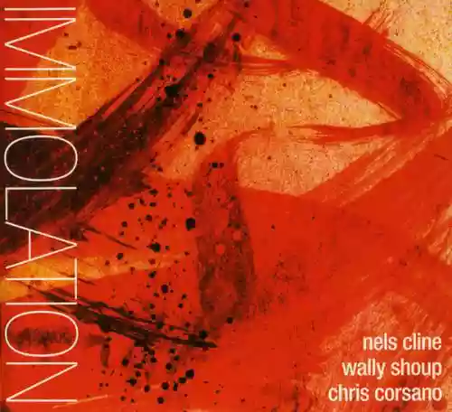 Cover Nels Cline - Immolation/Immersion