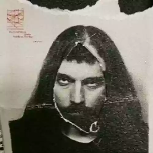 Cover di It's Cold When Birds Fall From the Sky