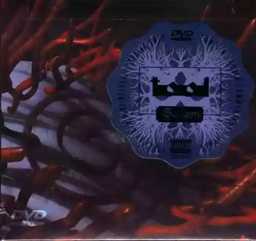 Cover di Schism