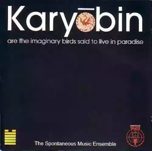 Cover Spontaneous Music Ensemble - Karyobin