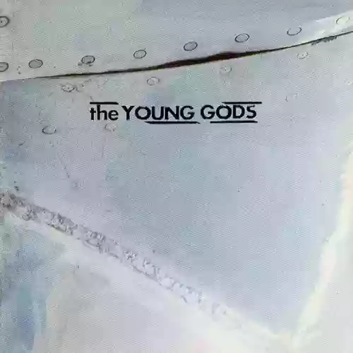 Cover The Young Gods - T.V. Sky