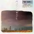<b>Pino Daniele</b> • Musicante
