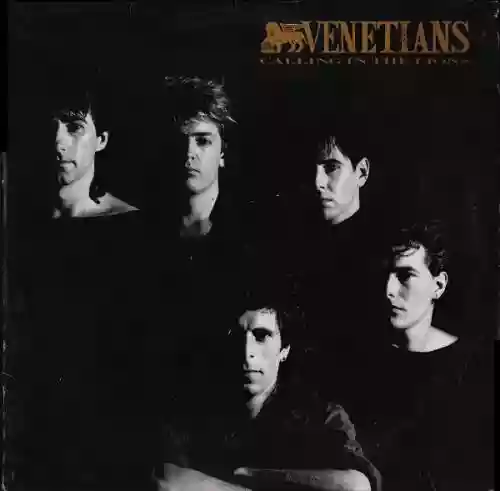 Cover Venetians - Calling in the Lions
