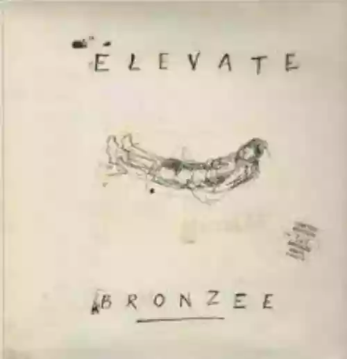 Cover di Bronzee