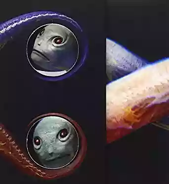 Tool: Vicarious