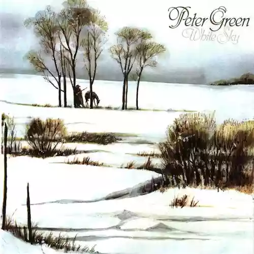 Peter Green: White Sky