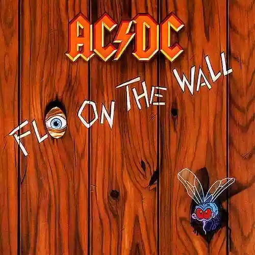 Cover di Fly on the Wall