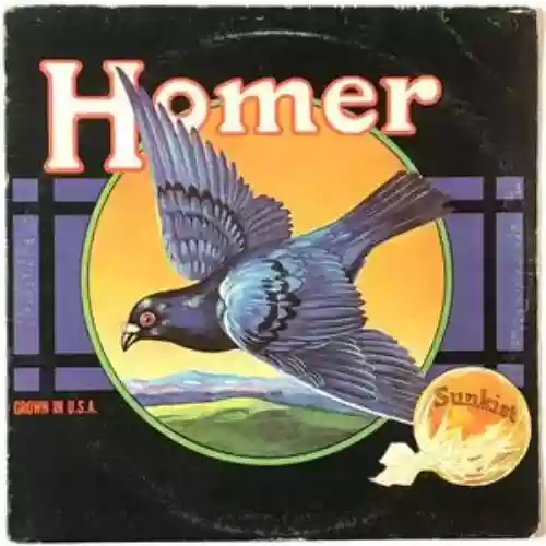 Cover Homer - Grown in U.S.A.