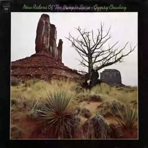 Cover di Gypsy Cowboy