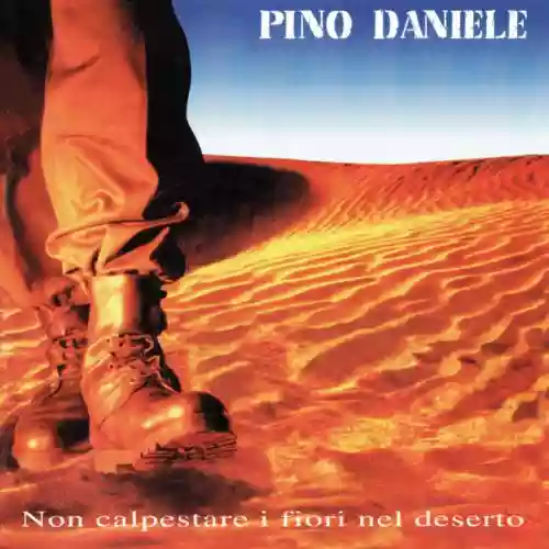 Cover di Non calpestare i fiori nel deserto