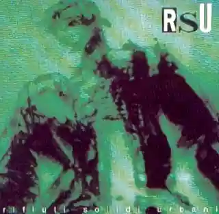 RSU: Rifiuti Solidi Urbani