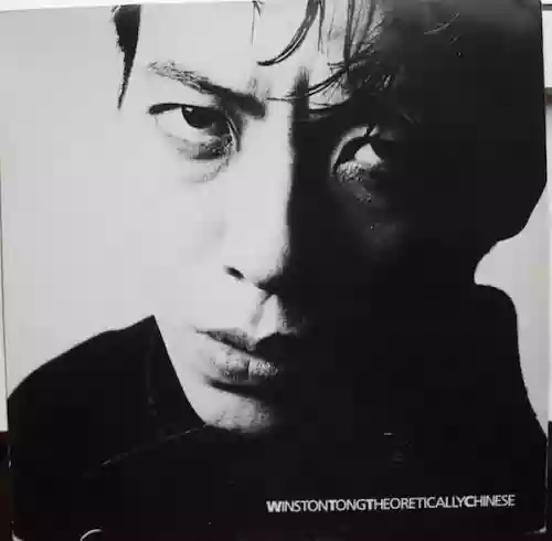 Cover Winston Tong - Theoretically Chinese