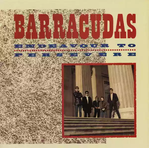 The Barracudas: Endeavour to Persevere