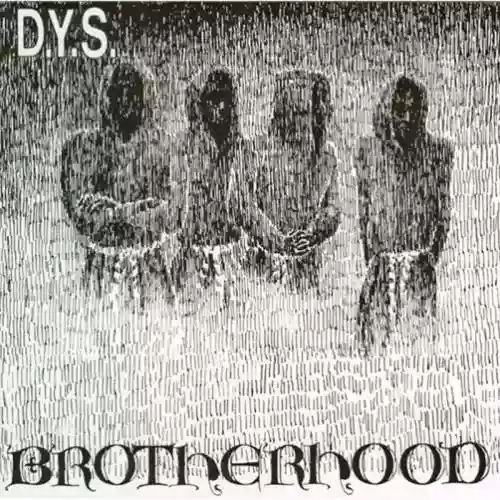 Cover DYS - Brotherhood