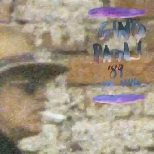 Cover Gino Paoli - '89 dal vivo