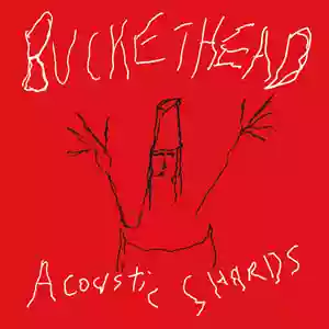 Buckethead: Acoustic Shards