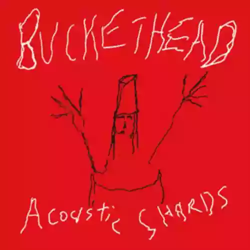 Cover di Acoustic Shards
