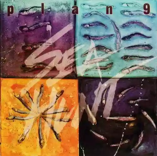 Cover di Sea Hunt