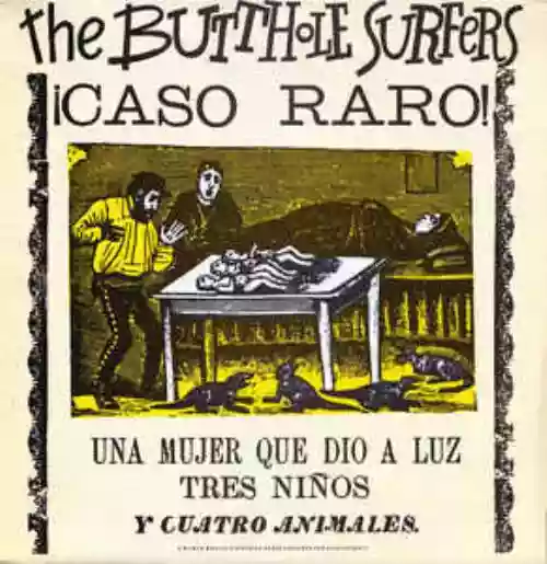 Cover Butthole Surfers - ¡Caso Raro!
