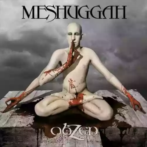 Cover di obZen