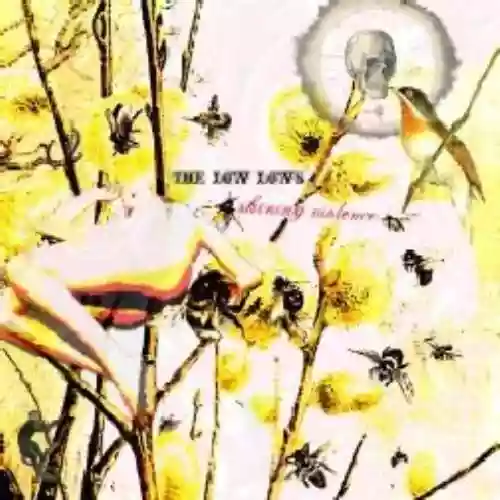 Cover The Low Lows - shining violence