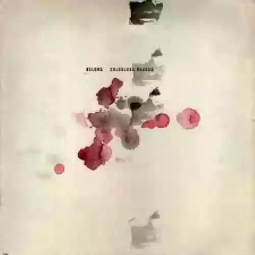 Cover Belong - Colorloss Record