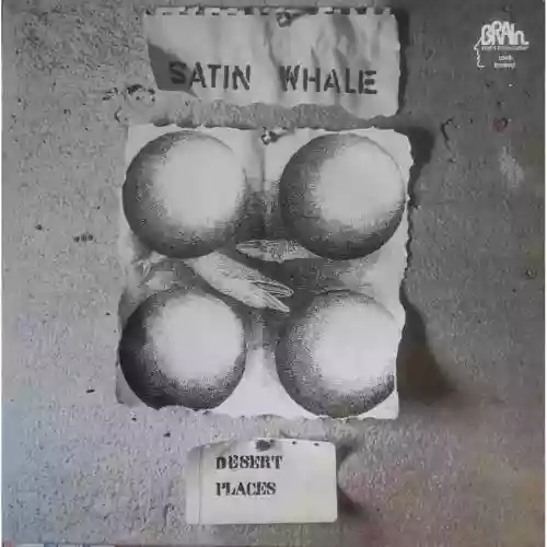 Cover Satin Whale - Desert Places