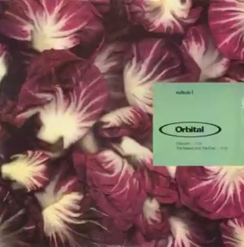 Cover di Radiccio