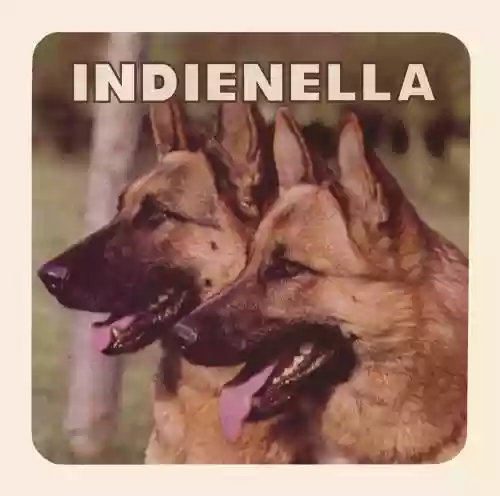 Cover di Indienella
