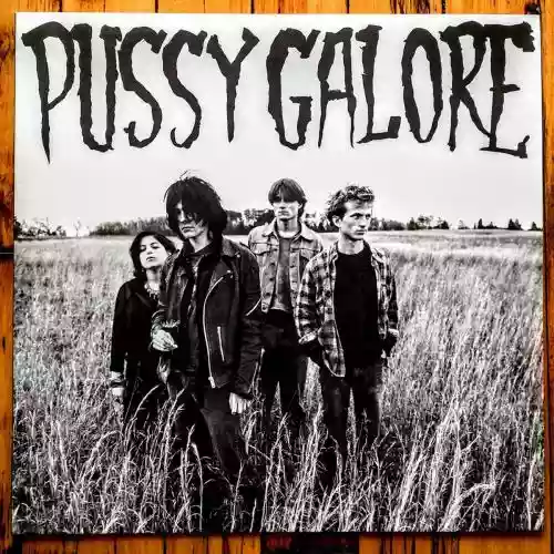 Cover Pussy Galore - Groovy Hate Fuck