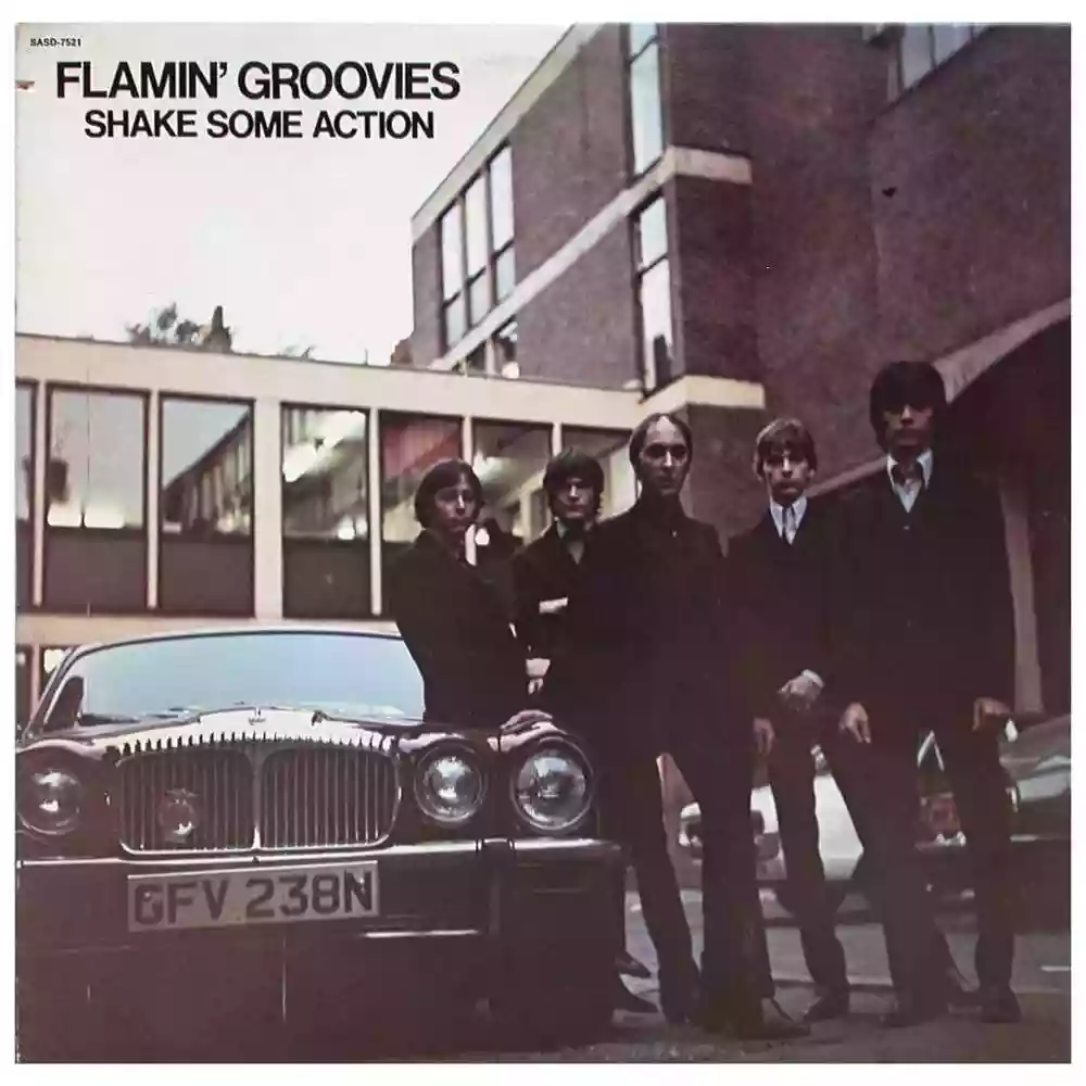 flamin' groovies: shake some action