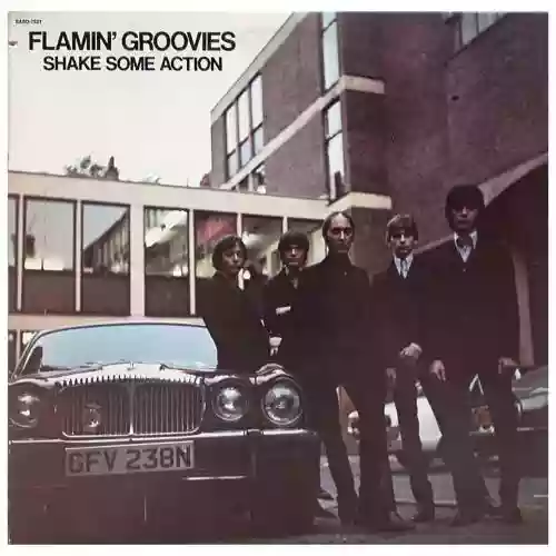 Cover Flamin' Groovies - Shake Some Action